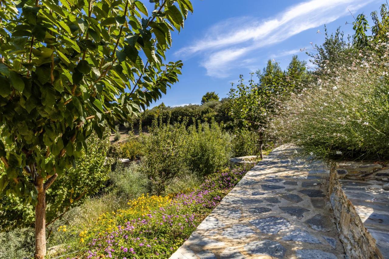 Villa Politimi Luxury Retreat Skopelos Exterior foto